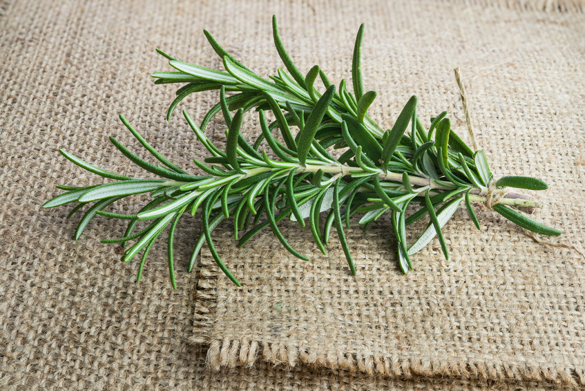 Rosemary Benefits for brain health, pain, cancer, inflammation, and