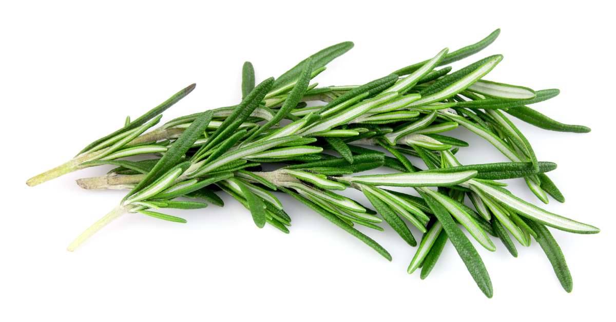 Rosemary Benefits for brain health, pain, cancer, inflammation, and