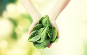 is spinach healthy?