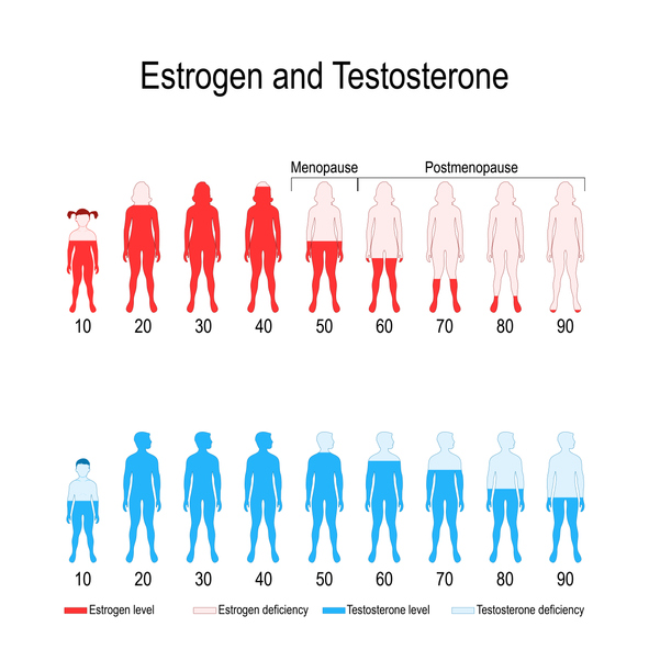 Estrogen Progesterone Ratio Chart